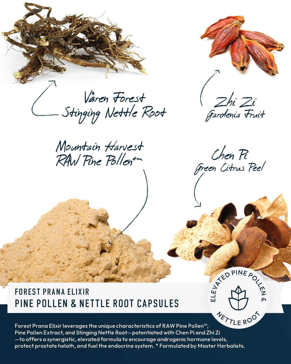 Forest Prana Elixir Pine Pollen and Nettle Root Capsules » 120 Count Bottle